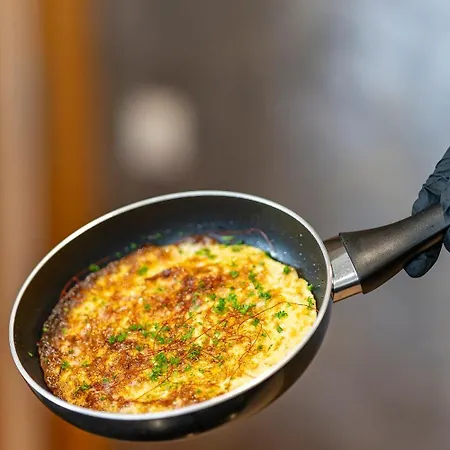 Hotel Plaza Stuttgart-ditzingen 4*