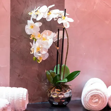 酒店 Plaza Stuttgart-ditzingen 迪琴根