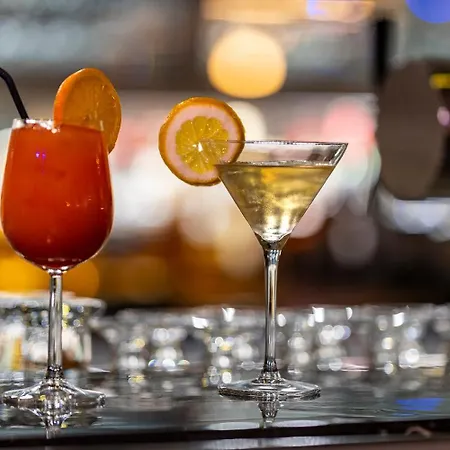 Plaza Stuttgart-ditzingen 酒店 4*