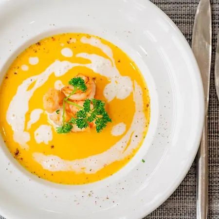 Plaza Stuttgart-ditzingen 4*