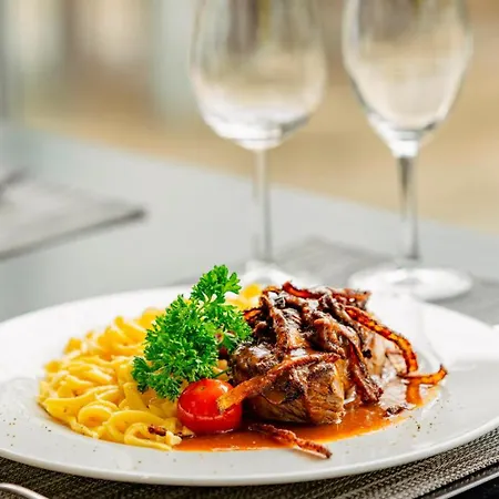 Plaza Stuttgart-ditzingen 迪琴根