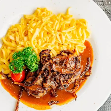 酒店 Plaza Stuttgart-ditzingen 4*