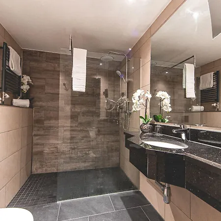 Plaza Stuttgart-ditzingen 迪琴根