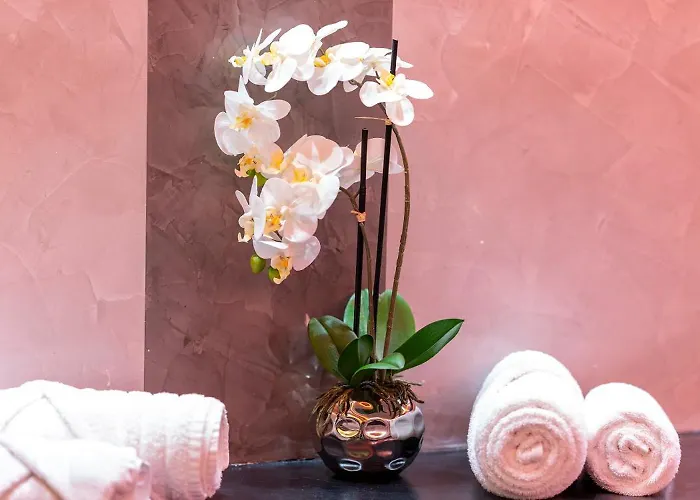 فندق Plaza Stuttgart-ditzingen دتسِنغِن