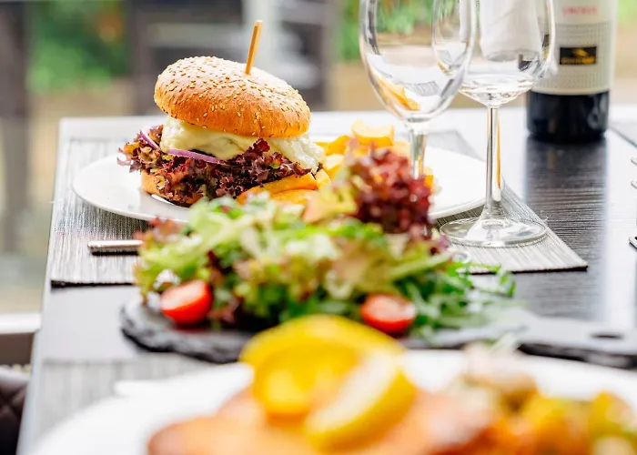 Plaza Stuttgart-ditzingen فندق دتسِنغِن