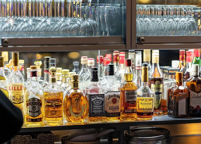 Plaza Stuttgart-ditzingen 4*